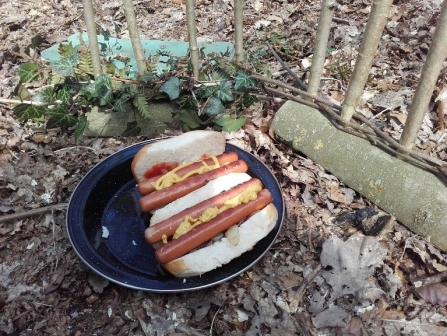 Hot dogs