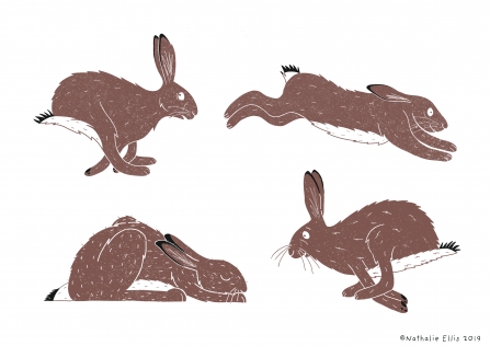 WildChild Festival - rabbit