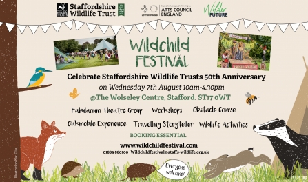 Festival advert