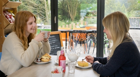 Kingfisher Cafe
