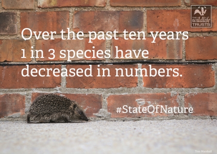 State of Nature report facts