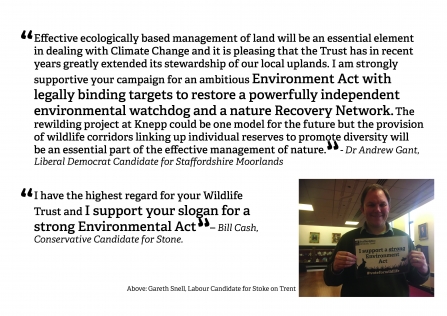 Feedback from party candidates backing SWT's call for a strong Environment act