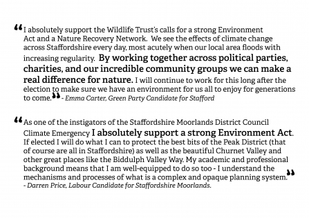 Feedback from party candidates backing SWT's call for a strong Environment act
