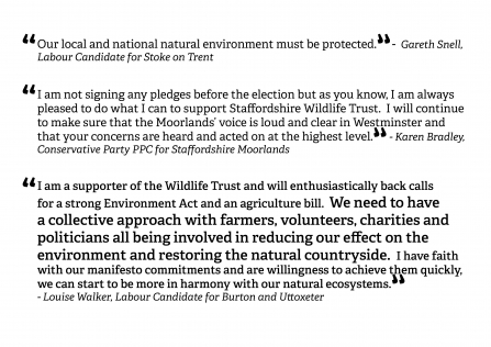 Feedback from party candidates backing SWT's call for a strong Environment act