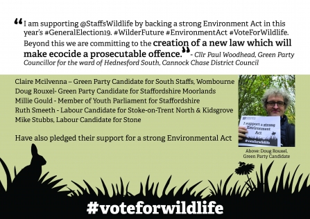 Feedback from party candidates backing SWT's call for a strong Environment act