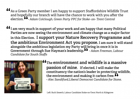 Feedback from party candidates backing SWT's call for a strong Environment act