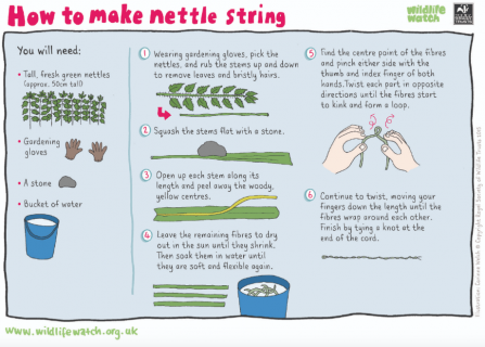 Nettle string