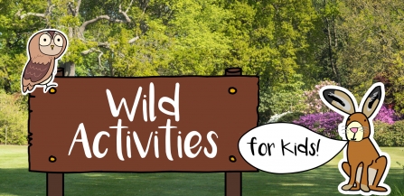 Wild activities