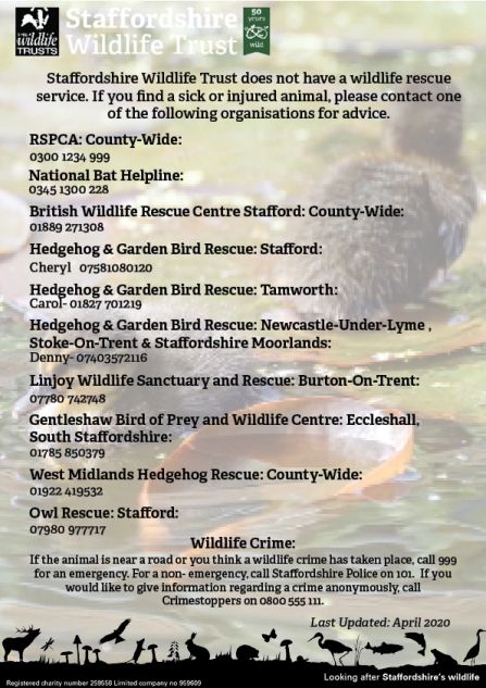 Contact details if you find sick or injured animals