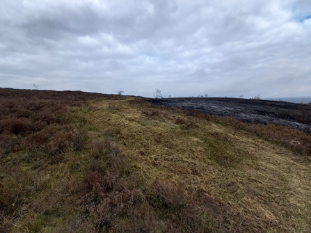 Ipstones Edge fire