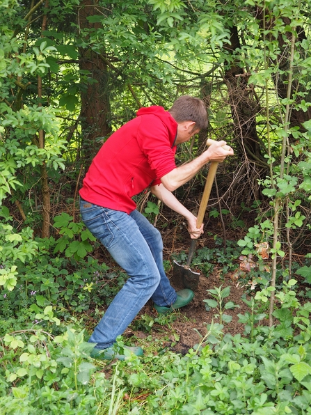 Conservation