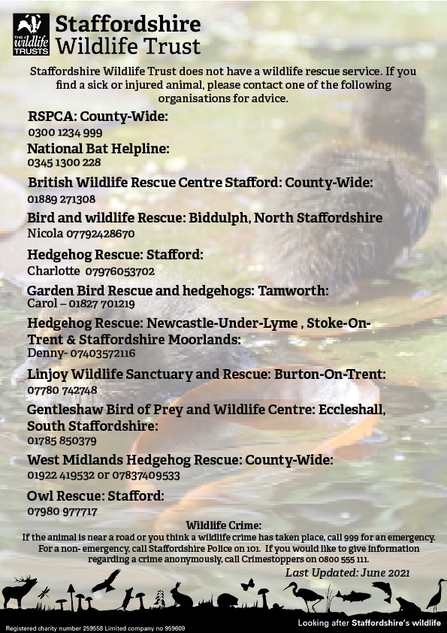 Wildlife Rescue