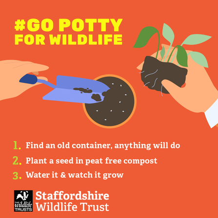 Three steps to take part in Go Potty. 1.Find a container 2. Plant seeds in peat free compost 3. water and watch it grow!