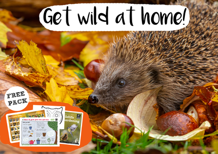 Wildlife Gardening booklet