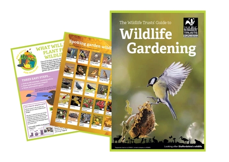 Three pages of a Wildlife Gardening booklet, featuring a front cover with a great tit and sun flower.