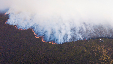 Fire at the Roaches