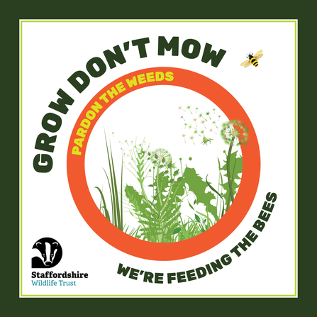 The words "Grow don't mow" surround an Illustration of dandelions inside an orange ring. 