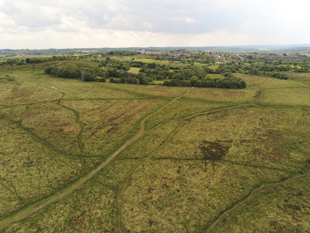 Wetley moor common - Tom Ellis