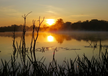 The sun sinks into a dark treeline in the background. In the foreground a wetland that reflects the sky shines in the evening light.