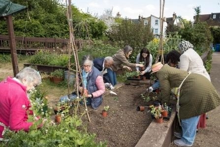 volunteering garden