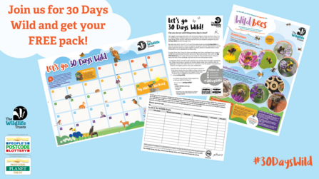 An illustration showing wildlife pack contents- a wall calendar a bee poster. The text reads 'Join  us for 30 Days Wild and get your FREE pack!'