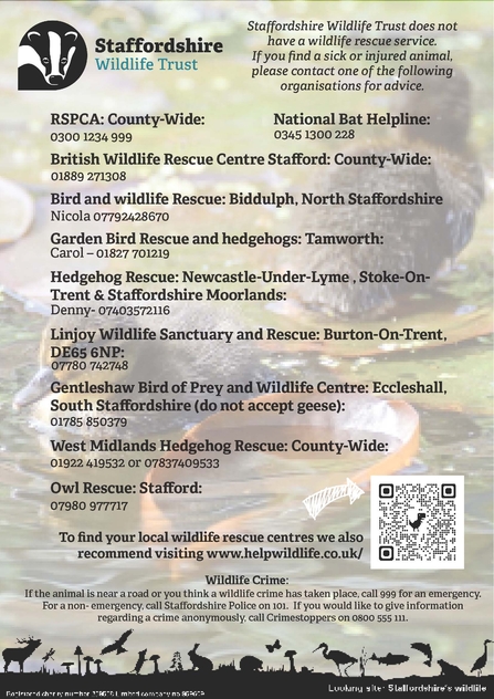 A poster with wildlife rescue listings on it