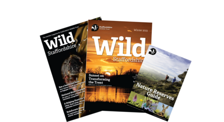 Two colourful magazine front covers showing a glow worm and a sunset, plus a smaller front cover of a nature reserves guide with an image of two people standing on a high hill overlooking a valley.