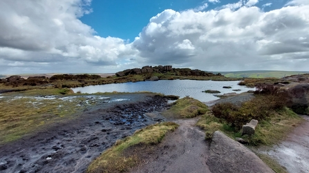 A pool with sparse vegetation and muddy banks under a cloudy sky