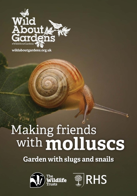 A booklet cover with a snail that says 'Making friends with molluscs'