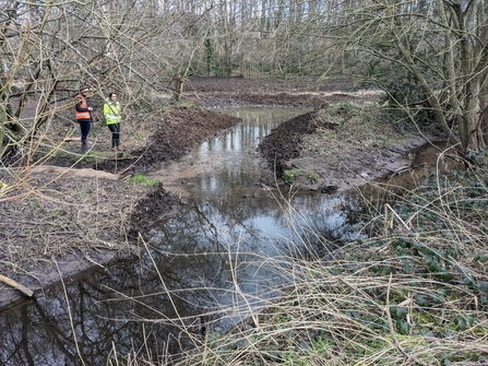 Two women in high vis jackets inspect a stream which has been widened. The banks have bare earth and are surrounded by trees without leaves.