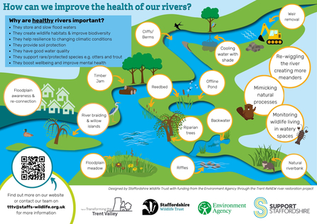 A diagram showing different benefits of river, such as reed beds, riffles, floodplain meadows, berms, shade, etc.