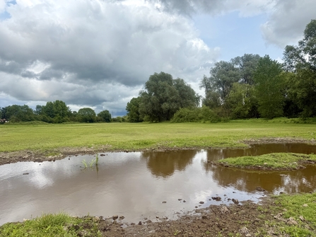 A pond under a cloudy sky.