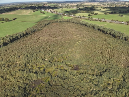 An aerial view of Craddocks Moss, showing how tree growth has taken over.