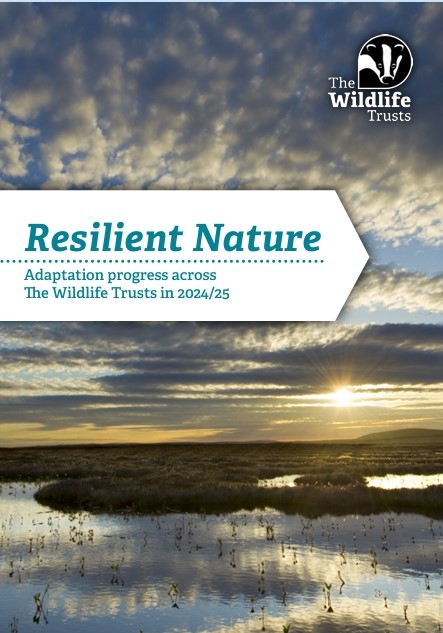 An image of a peat bog at dusk or dawn with a shining sun reflecting across a waterlogged surface and gleaming clouds. Text overlay reads "Resilient Nature, adaption progress across The Wildlife Trusts in 2024/25"