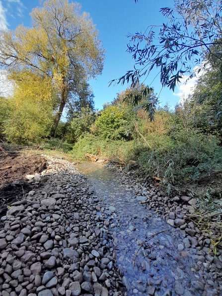 A brook flows with water under a blue sky