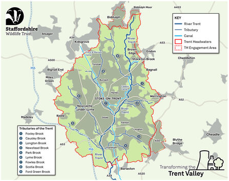a map with a red line displaying the border of the Trent Headwaters project area, also showing grey and green areas where urban and green areas are with the SWT logo and Transforming the Trent Headwaters logo