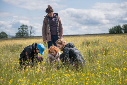 Three woman and a young girl in a buttercup filled hay meadow with long grass. One woman stands and look down over the other two women and child who examine something in the grass.