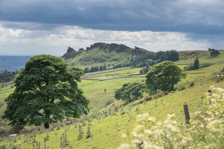 A landscape including trees and a distant rocky crag under a grey cloudy sky.