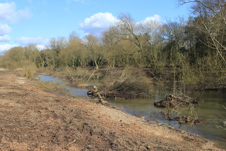 small islands in a river with a muddy bank covered in willow trees.