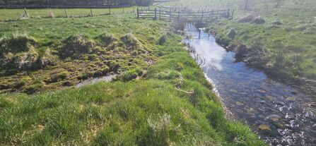 A small chute off a main stream that flows into a surrounding field.