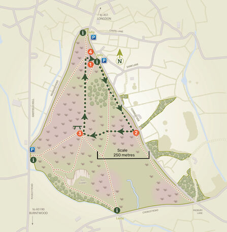 A map of a nature reserve showing areas with trees and a plotted walk with dark green arrows and 4 numbered points on the route,.