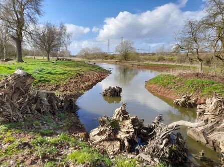 Timber material in a waterway slowing the flow of water.