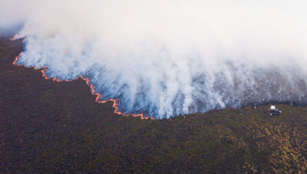 A bird's eye view of a fire on a nature reserve. 
