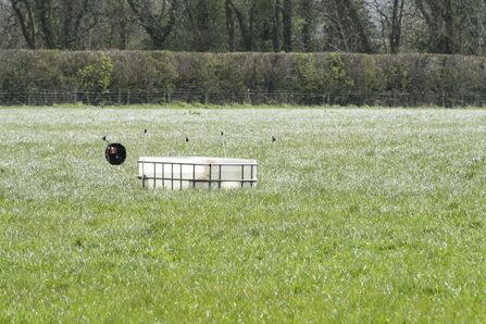 A water source for cattle sits in a field.