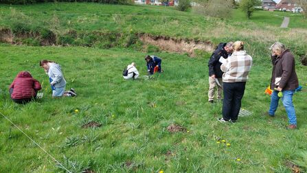 A group of people survey an area of grassland