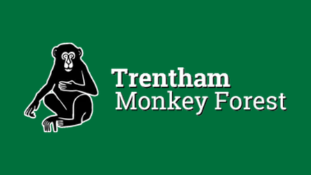 Trentham Monkey Forest logo: green with a picture of a monkey
