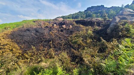 Recently burned heathland on a rocky hillside, with charred vegetation contrasting against surrounding greenery, highlighting the impact of wildfire on natural landscapes.