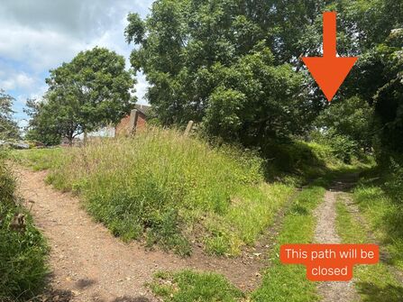 A photo of a grassy path