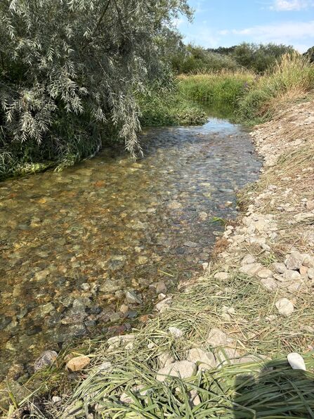 A riverway filled with riffles