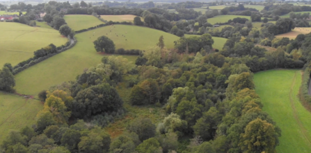 A green landscape of farm fields and woodland from above